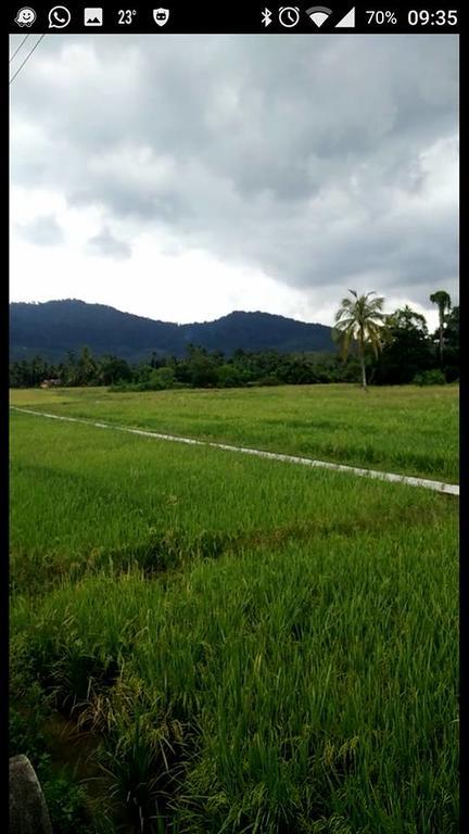 Yasmin'S Holiday Home Pantai Cenang  Buitenkant foto